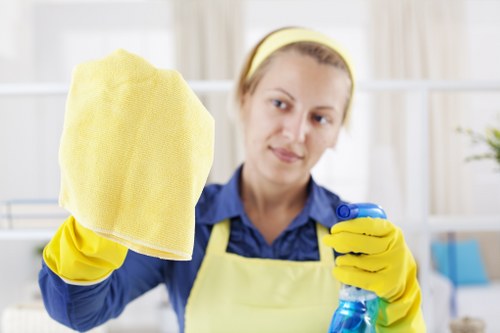 Cleaning supplies for fresh pet stain odour removal