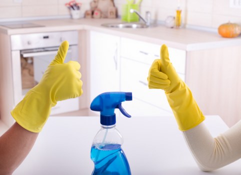 Upholstery treated to remove pet urine odour