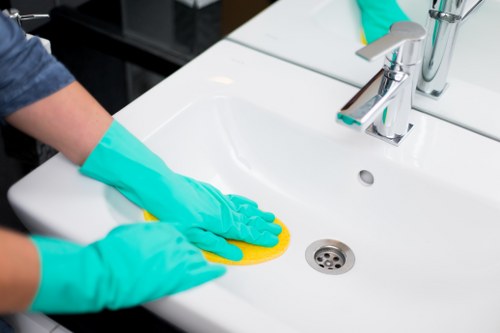 Pet-friendly carpet cleaning treatment for odor and stain removal