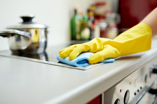 Deep cleaning process for a large area rug in a home setting
