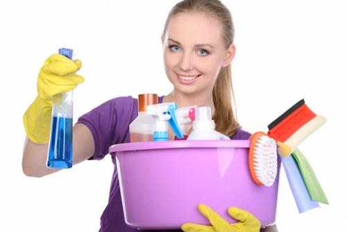 Carpet and upholstery stain removal process